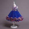 Blue Princess Dress Girls Costumes Outfit