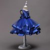 Girls Princess Blue Costumes Dress