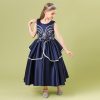Princess Blue Costumes Dress Outfit For Girls