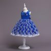 Princess Dress Girls Blue Costumes Outfit