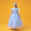 Princess Sky Blue Costumes Dress Outfit