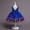 Blue Princess Dress Girls Costumes Outfit