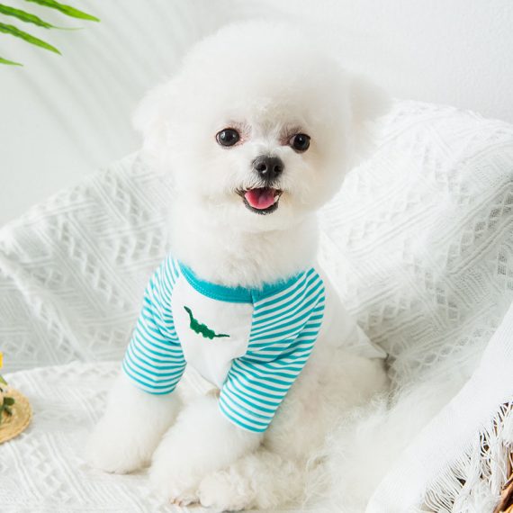 Cute Dog Dinosaur Costume