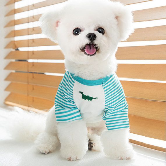Cute Dog Dinosaur Costume