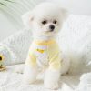 Cute Dog Dinosaur Costume