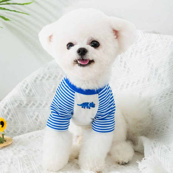 Cute Dog Dinosaur Costume
