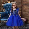 Princess Costumes Outfit Blue Dress