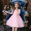 Pink Princess Costumes Outfit Skir Dress