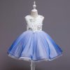 Princess Costumes Outfit Blue White Skir Dress