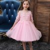 Pink Princess Costumes Outfit Skir Dress