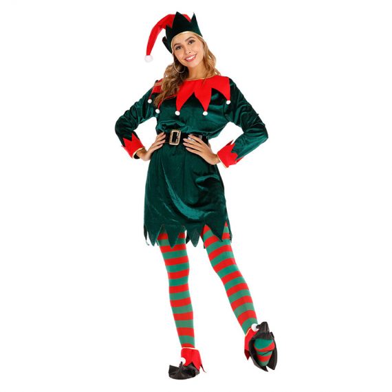 Womens Christmas Fairy Costume