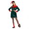 Womens Christmas Fairy Costume