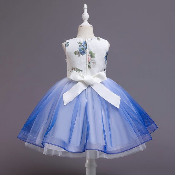 Princess Costumes Outfit Blue White Skir Dress