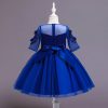 Princess Costumes Outfit Blue Skir Dress