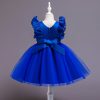 Princess Costumes Outfit Blue Dress