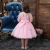 Pink Princess Costumes Outfit Skir Dress