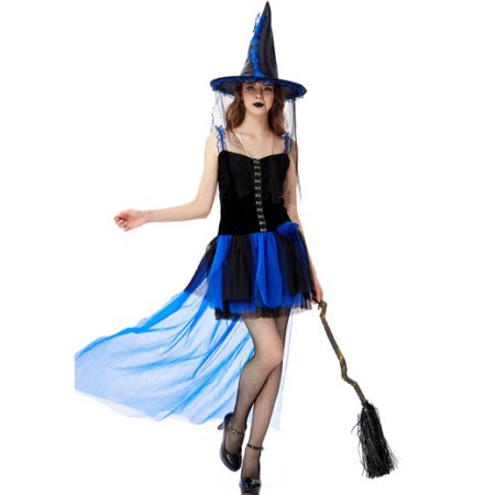 Blue Witch Dress Adult Costume For Women