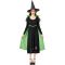 Green Witch Dress Adult Costume