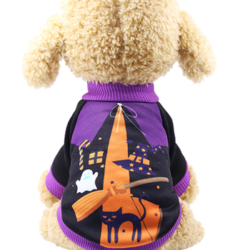 Magic Halloween Dog Costume
