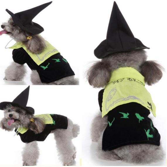 Dog Witch Halloween Costume Hat