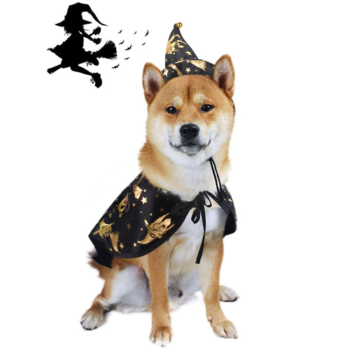 Puppy Dog Fun Witch Halloween Costume