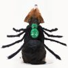 Funny Dog Spider Halloween Costume