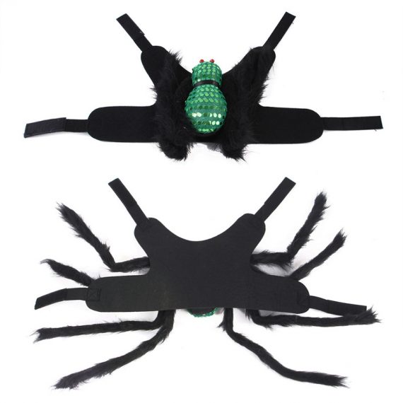 Funny Dog Spider Halloween Costume