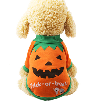 Trick Or Treat Halloween Pumpkin Dog Costume