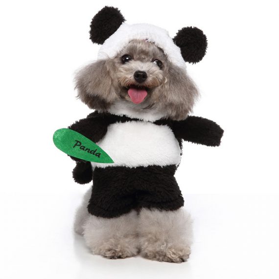 Puppy Dog Funny Panda Costume