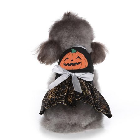 Pumpkin Cute Small Dog Costume