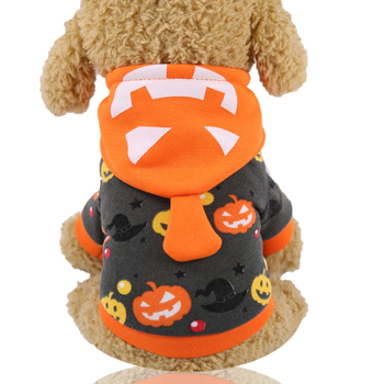 Ugly Halloween Pumpkin Dog Costume