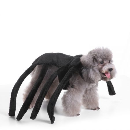 Small Dog Spider Halloween Costume