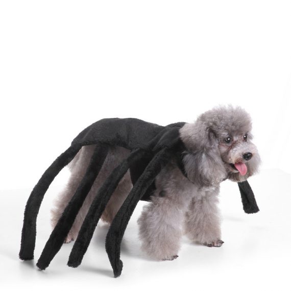 Small Dog Spider Halloween Costume