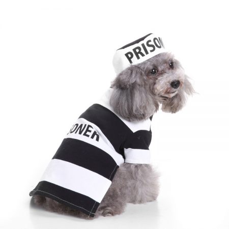 Puppy Dog Prisoner Halloween Costume