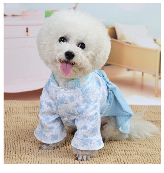 Dog Hanfu Festival Winter Costume Suit - MYanimec