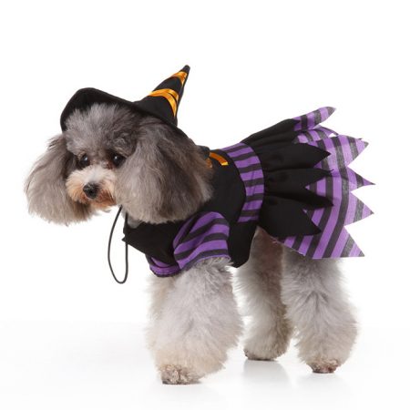 Pet Dog Fun Witch Halloween Costume