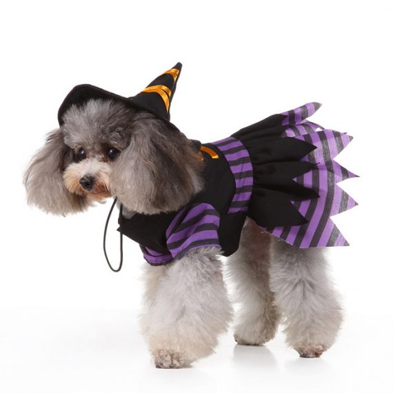 Pet Dog Fun Witch Halloween Costume
