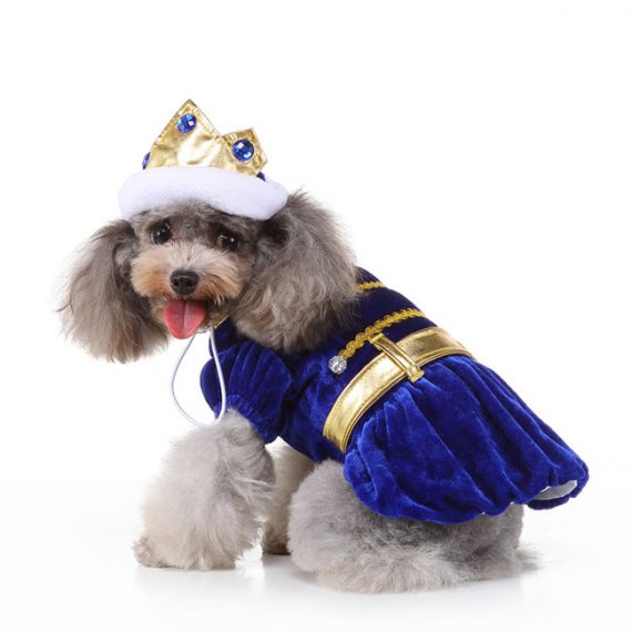 King Dog Halloween Costume