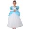 Girls Ice Princess Costume