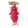 Cool Dog Red Golden Fish Halloween Costume