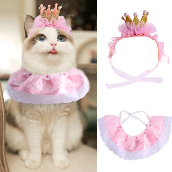 Cat Happy Birthday Costume Outfits