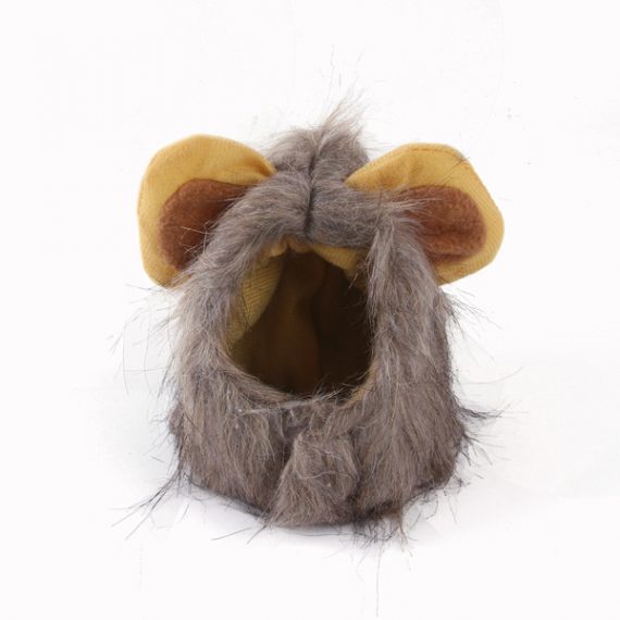 Pet Cat lion Halloween Costume