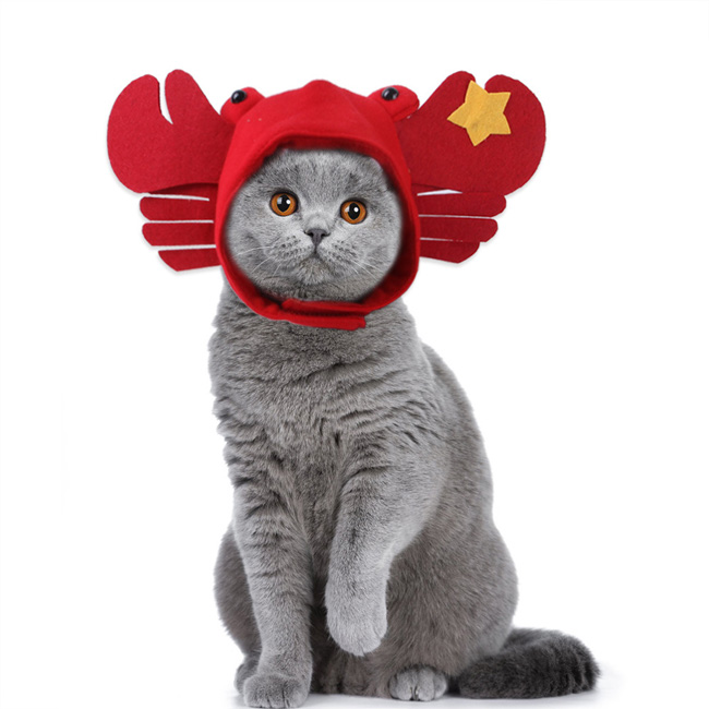 Red Cat Crab Costume Hat Decoration - MYanimec