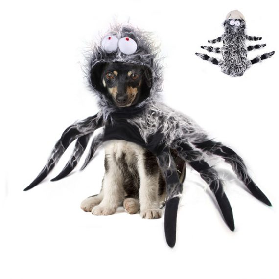 Funny Dog Spider Halloween Costume Hat Decorations