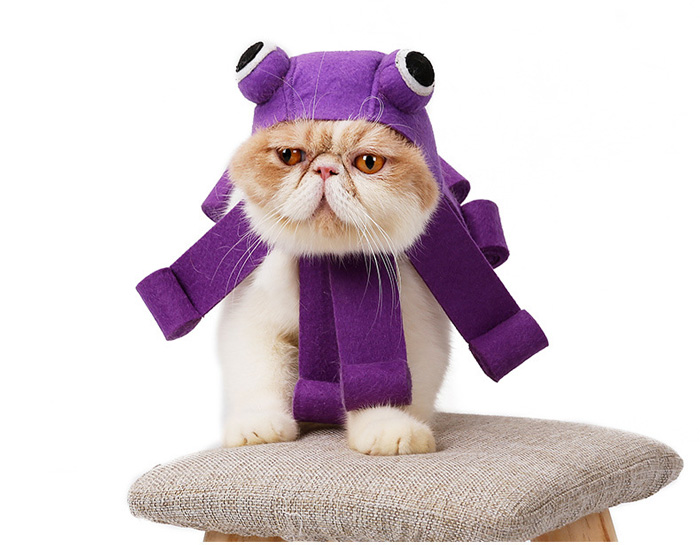 Cat Purple Octopus Costume Hat Decorations
