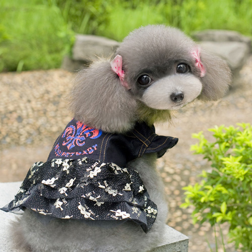 Cool Pet Dog Halloween Costume