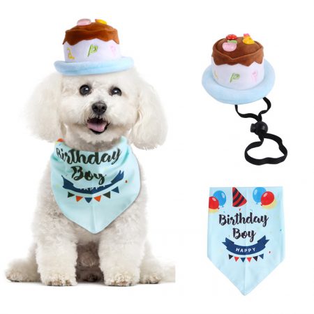 Happy Birthday Outfits For Dog