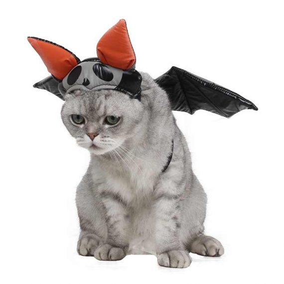 Cat Black Bat With Wings Halloween Costume