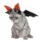 Cat Black Bat With Wings Halloween Costume