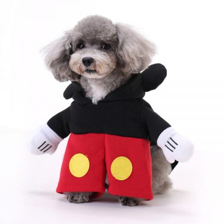 Dog Mouse Gift Costume Outfit